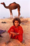 Pushkar camel girl