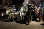 Temple elephant out for&nbsp;Pongal